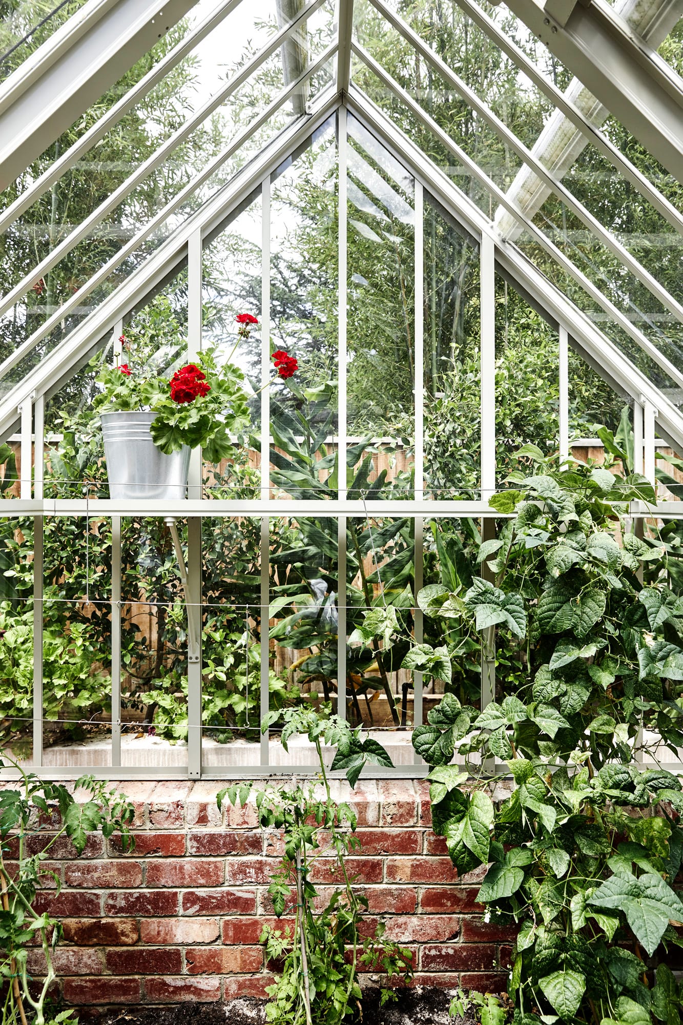 Kew — 05